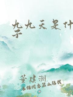 九九天是什么日子