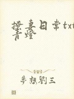 撩妻日常txt青灯