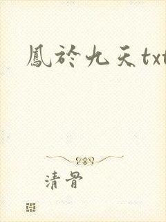 凤于九天txt