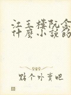 江玉楼阮念笙是什么小说的名字