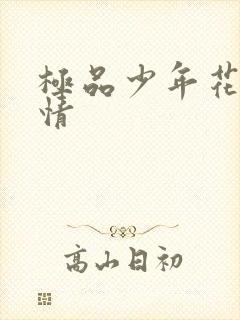 极品少年花都燃情