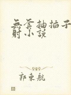 无套抽插子宫内射小说