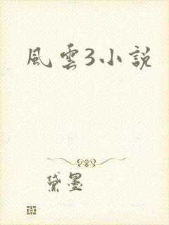 风云3小说