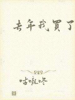 去年我买了个表