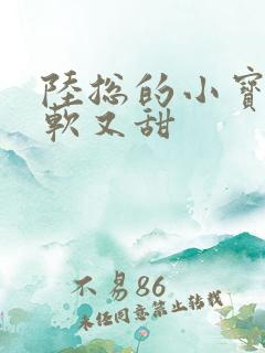 陆总的小宝贝又软又甜