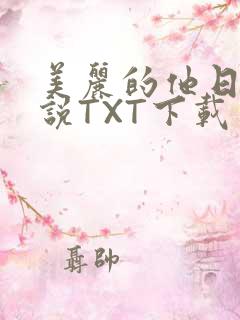 美丽的他日剧小说TXT下载