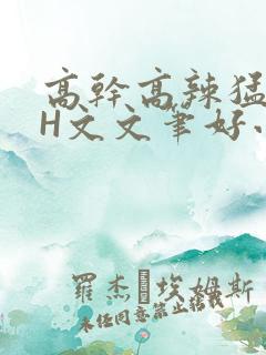 高干高辣猛高辣H文文笔好小说