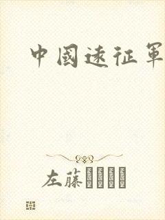 中国远征军下载