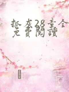 抓灰28章全部免费阅读