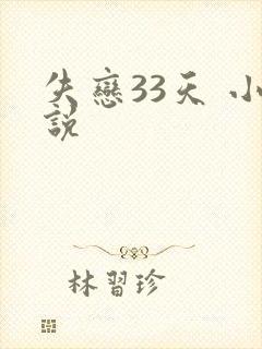 失恋33天 小说