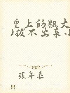 皇上的粗大(h)拔不出来小说