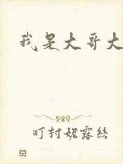 我是大哥大下载