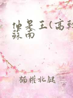 他是王(高干)苏南