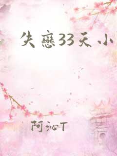 失恋33天小说
