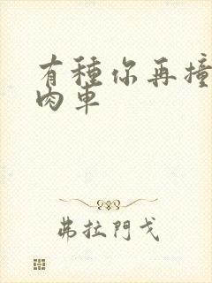 有种你再撞一下肉车