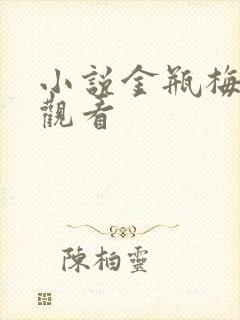 小说金瓶梅在线观看