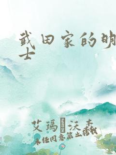 武田家的明国武士