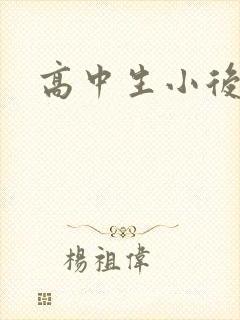 高中生小后妈