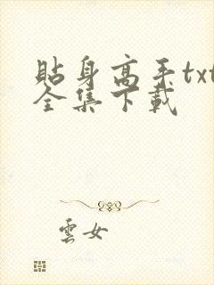 贴身高手txt全集下载