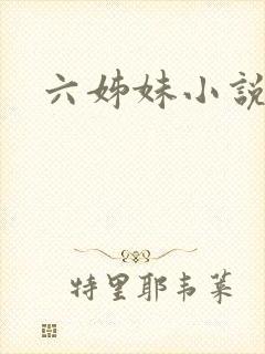 六姊妹小说