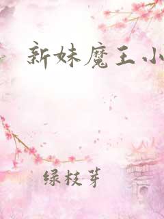 新妹魔王小说