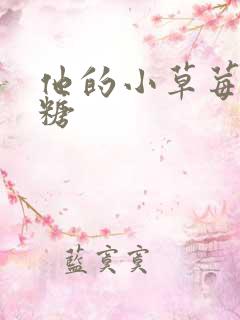 他的小草莓软糖糖