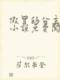 假冒的公主大人小说免费阅读