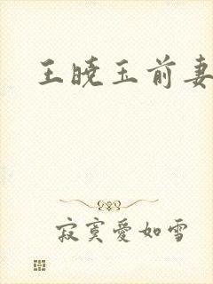 王晓玉前妻
