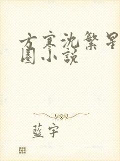 方寒沈繁星娱乐圈小说