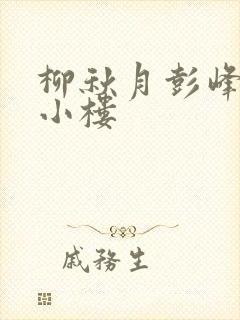 柳秋月彭峰月满小楼