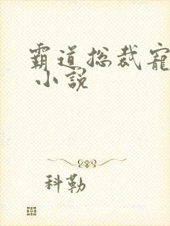 霸道总裁宠上天 小说