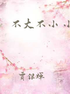 不大不小 小说