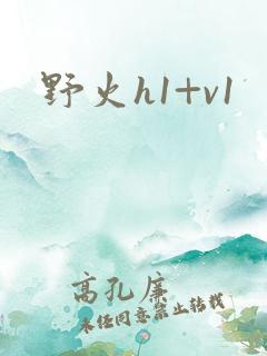 野火h1+v1