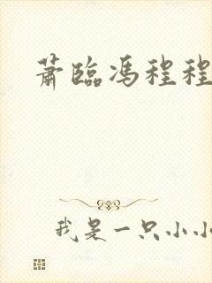 萧临冯程程小说