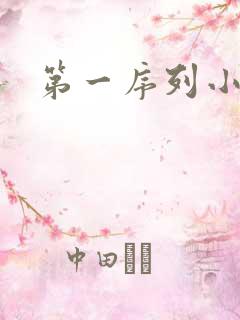 第一序列小说