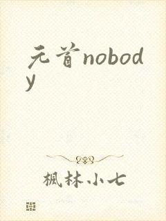 元首nobody
