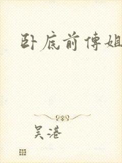 卧底前传姐妹篇