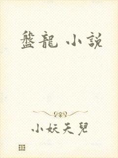 盘龙 小说