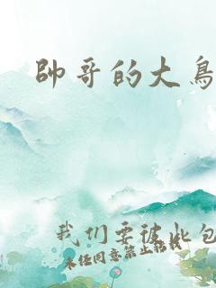 帅哥的大鸟