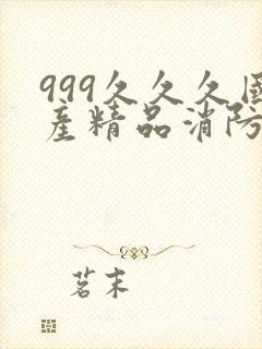 999久久久国产精品消防器材