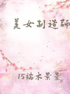 美女制造师