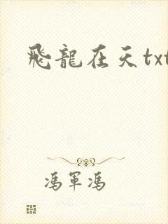 飞龙在天txt
