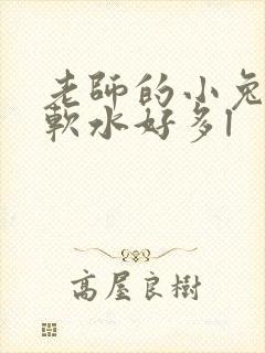 老师的小兔子好软水好多l