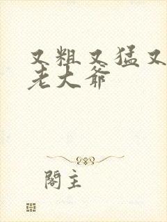 又粗又猛又大爽老大爷