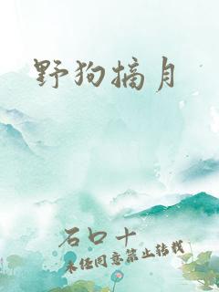 野狗摘月