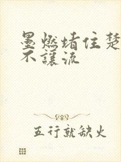 墨燃堵住楚晚宁不让流