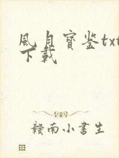 风月宝鉴txt下载