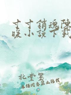 寸寸销魂陈聪王暖小说下载