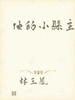 他的小县主