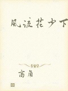 风流花少下载
